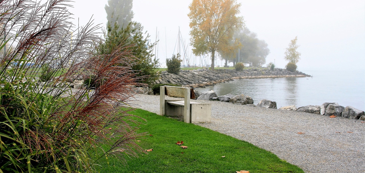 Slider Image 0